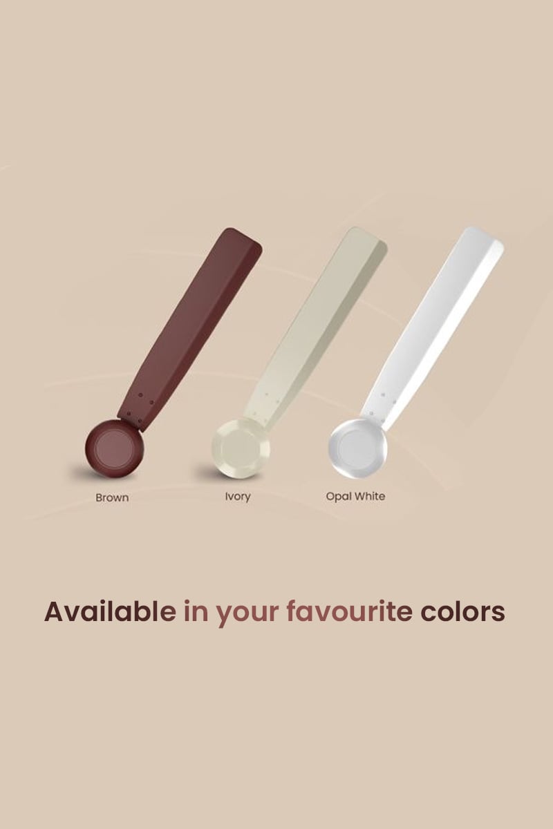 Available in your Favourite Colors