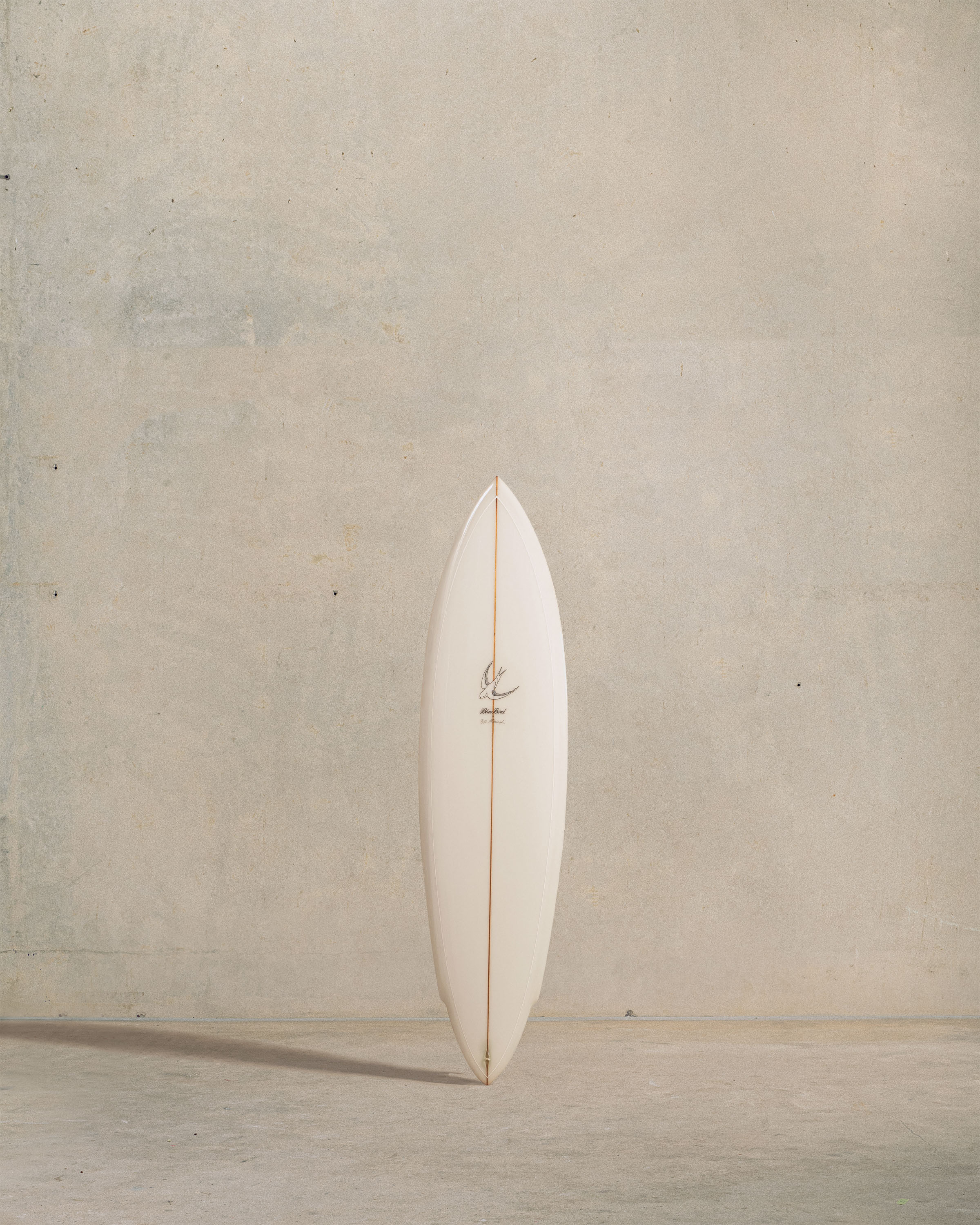 Shop Single Fin Surfboards Available Online | McTavish