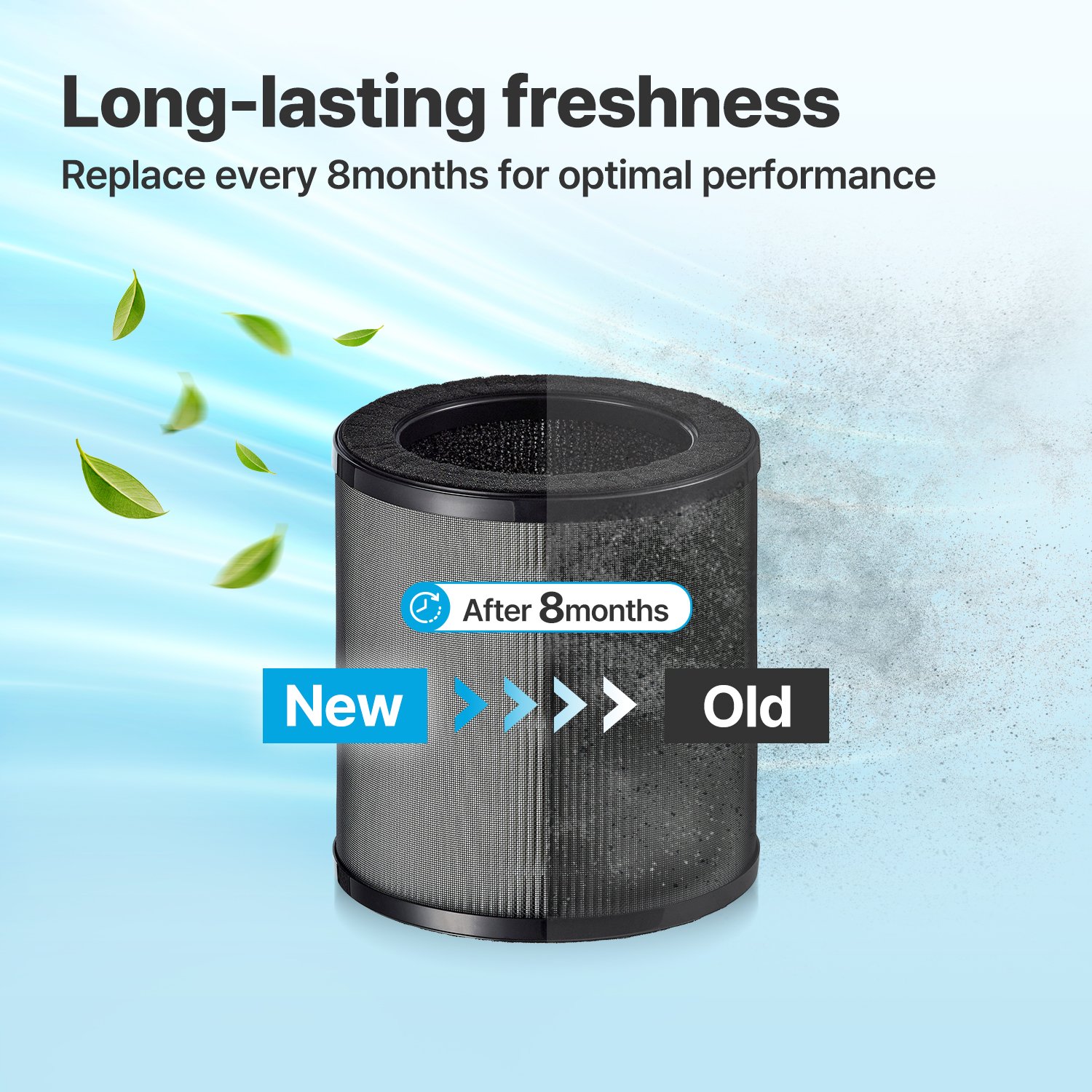Replace Airmega 50 filter every 8 months for best performance