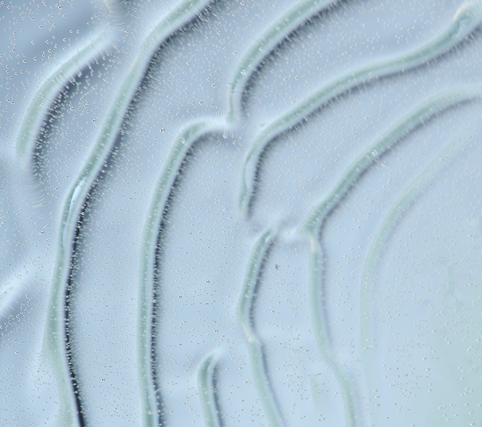 Blue skincare cream texture with smooth curved swirls.