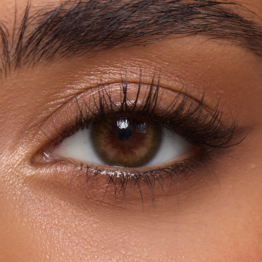 Acacia Olive (1-Day)