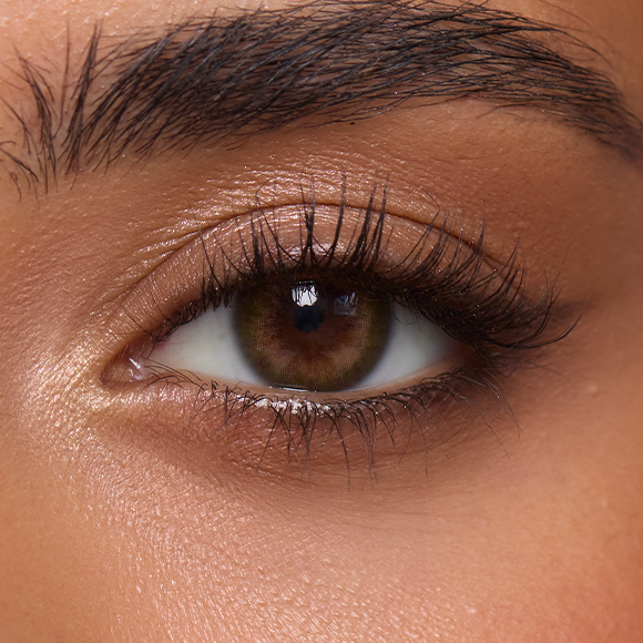 Acacia Olive (1-Day)