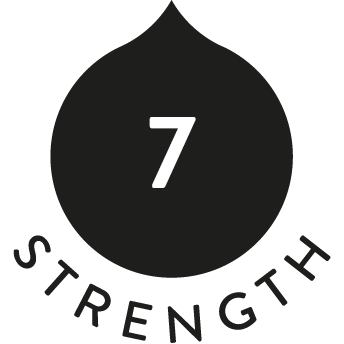 Strength icon