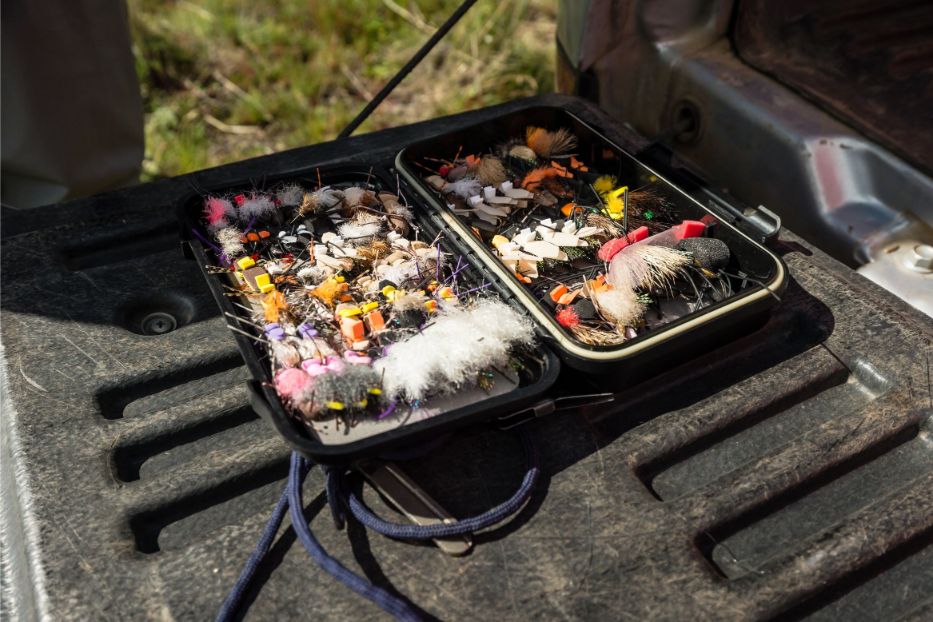 Tierra del Fuego Fly Assortment