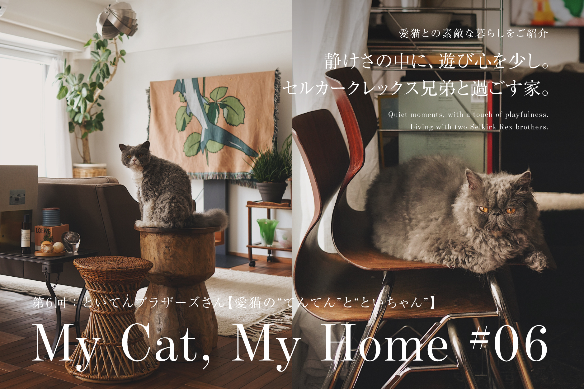 猫と上質に暮らす。インテリアに映える、シンプルで美しい日本発の