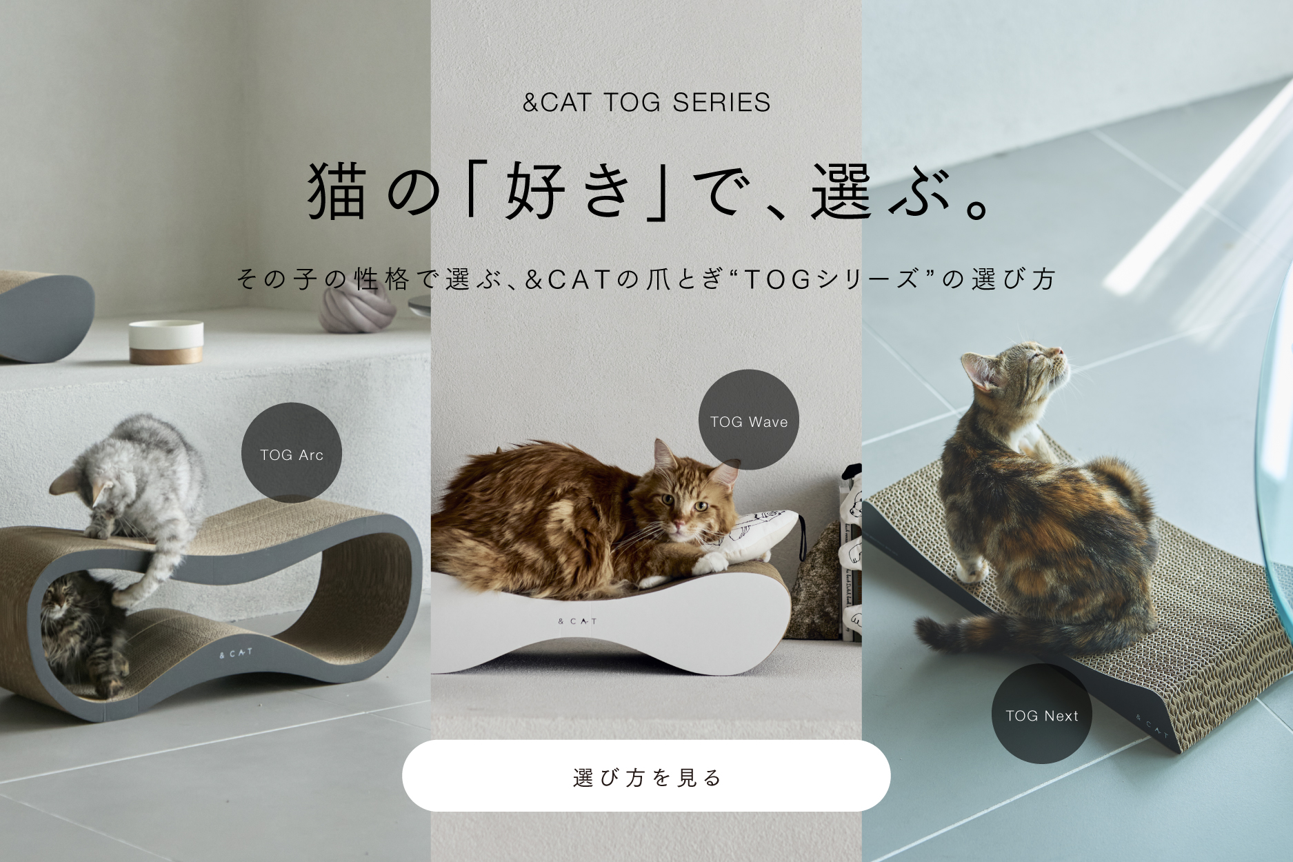 猫と上質に暮らす。インテリアに映える、シンプルで美しい日本発の 