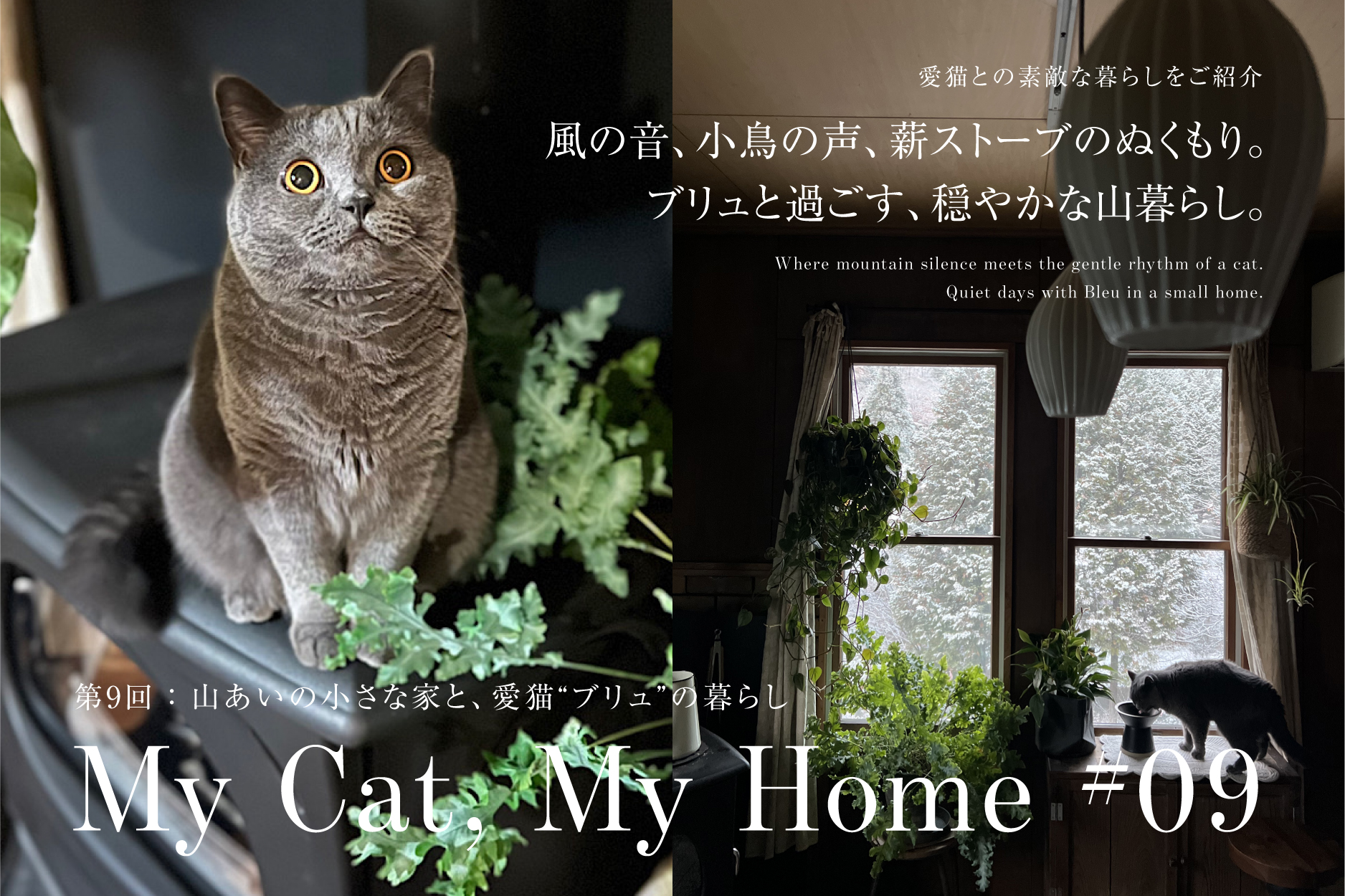 猫と上質に暮らす。インテリアに映える、シンプルで美しい日本発の