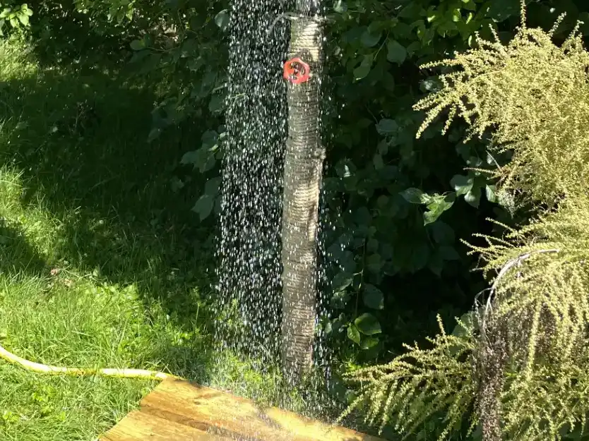 //cdn.accentuate.io/9050768867578/1767865684751/thumbnail_IMG_5594.webp?v=1767865684751