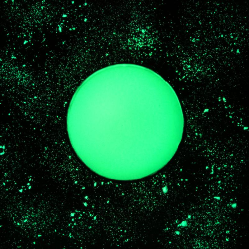 陶彩画 「龍の玉 如意宝珠 -大調和-」 18角 – 草場一壽工房