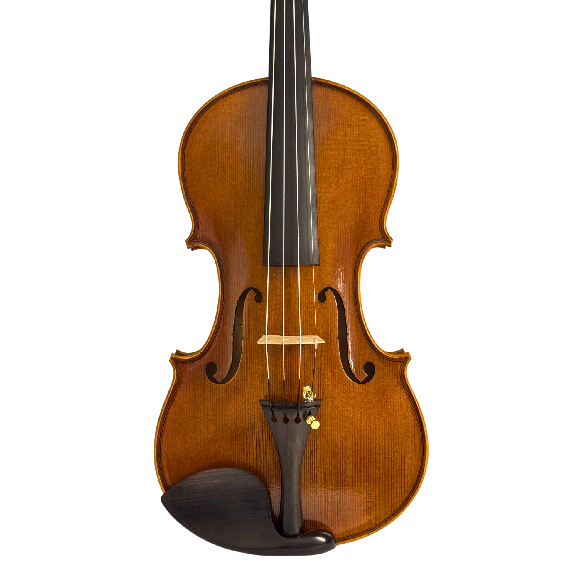 Ricard Bunnel Master Series Violin Outfit in action