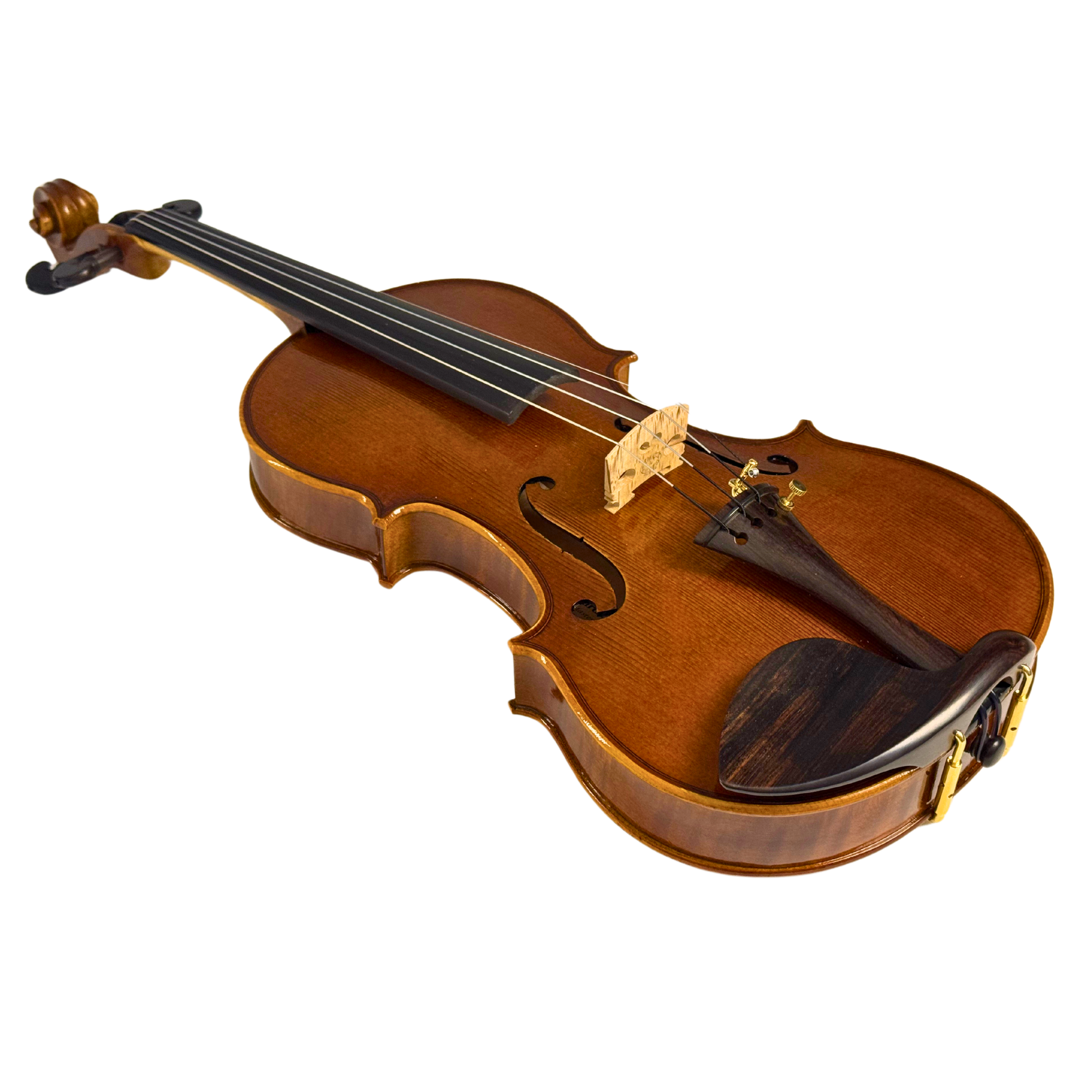 Ricard Bunnel Master Series Violin Outfit in action