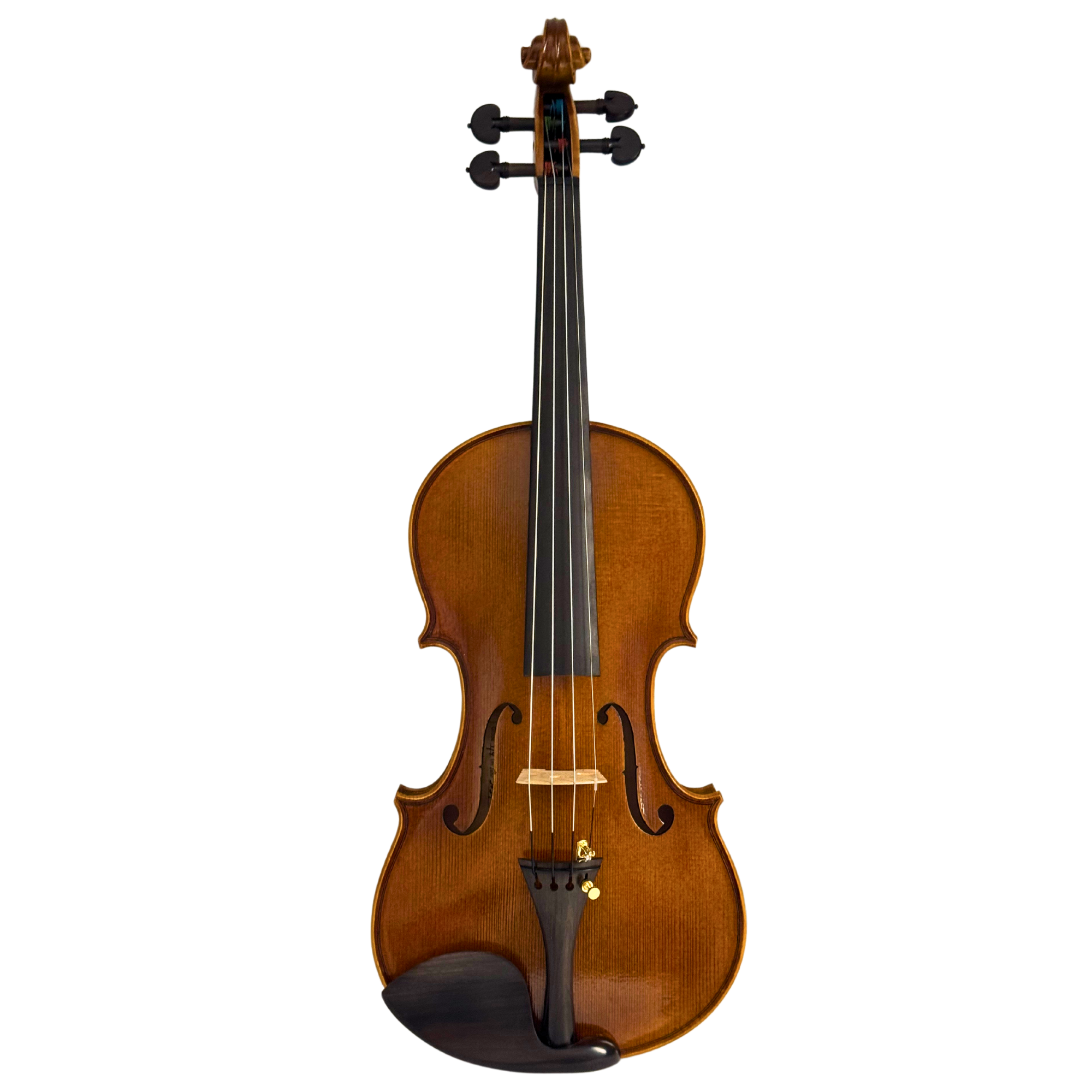 Ricard Bunnel Master Series Violin Outfit