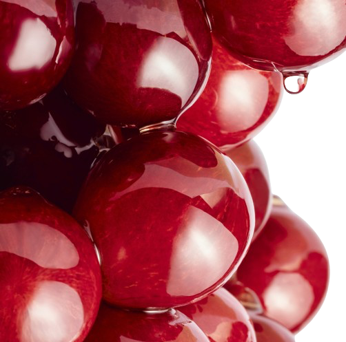 Leucoselect® Phytosome™