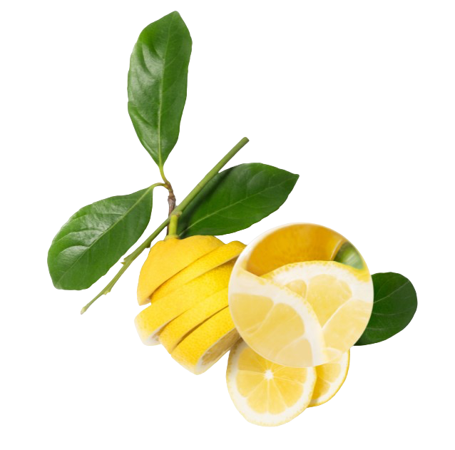 Vitamine C Liposomale