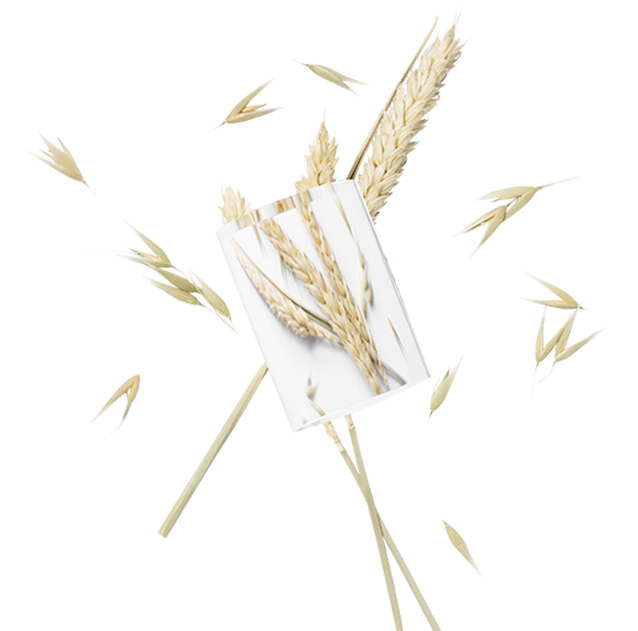 Wheat ceramides (Ceramosides™)