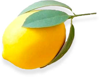 Morning Mint Oil Pulling Mouthwash Sachets