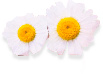 Morning Mint Oil Pulling Mouthwash Sachets