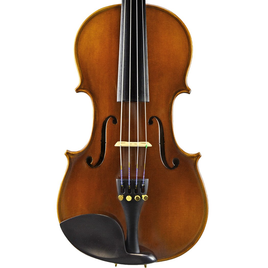 D'Addario Helicore 5 String Violin Set in action
