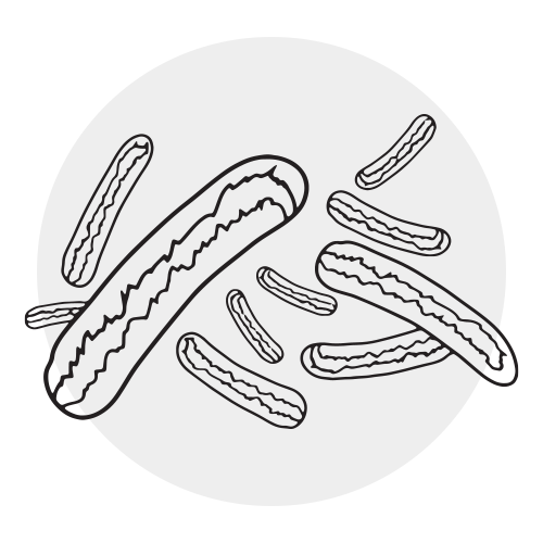 BACILLUS FERMENT