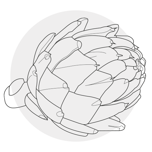 ARTICHOKE EXTRACT