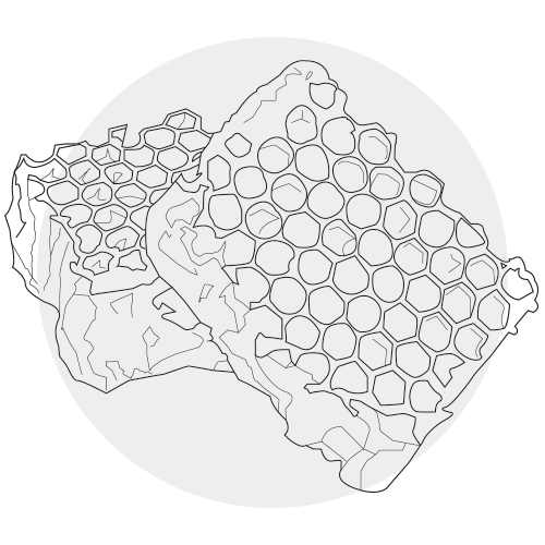 BEESWAX