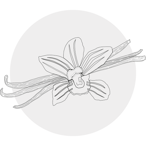 VANILLA