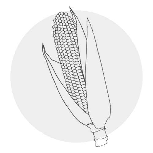 SACCHARIDE ISOMERATE
