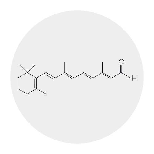 Retinal