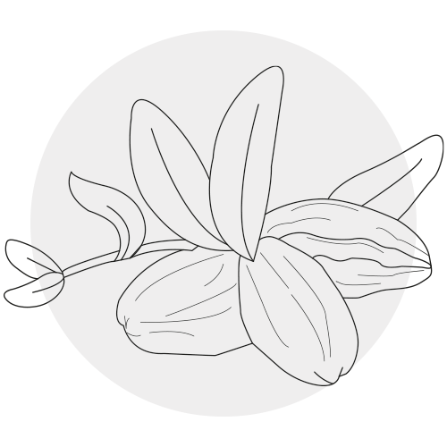 JOJOBA ESTERS