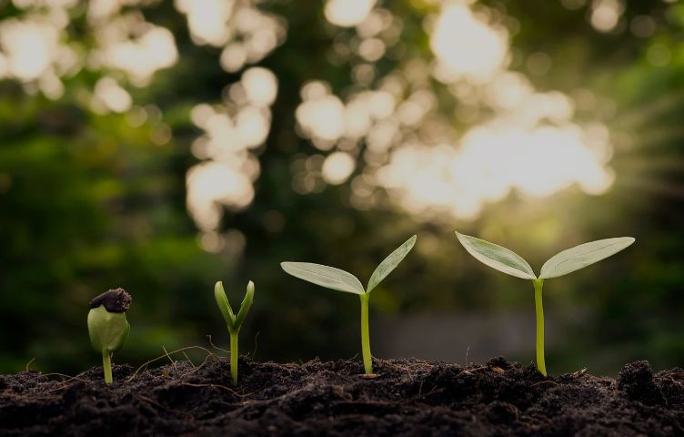                                                 <p>Sustainability</p>                                    