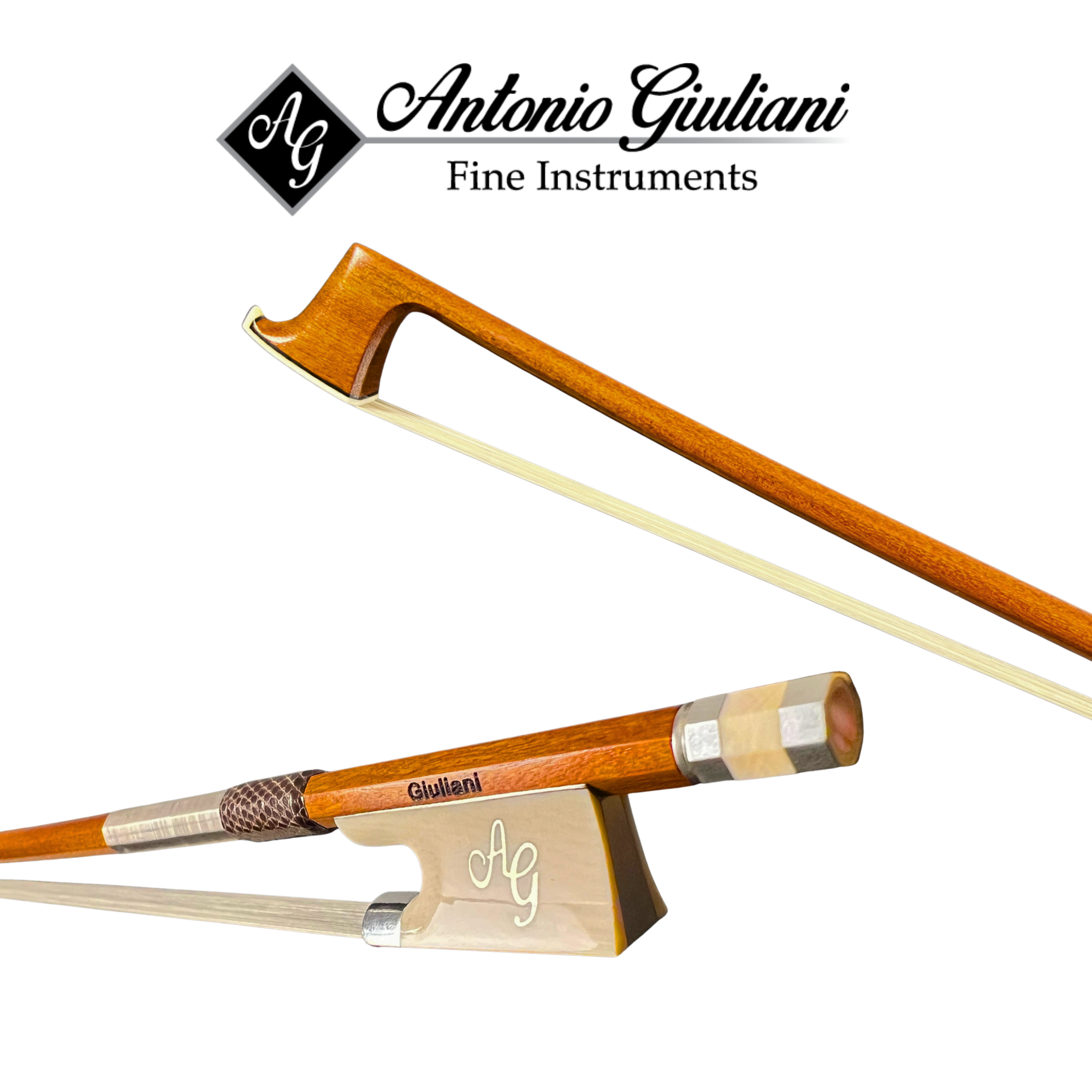 Giuliani Master Violin Bow (Upgrade VLN1) in action