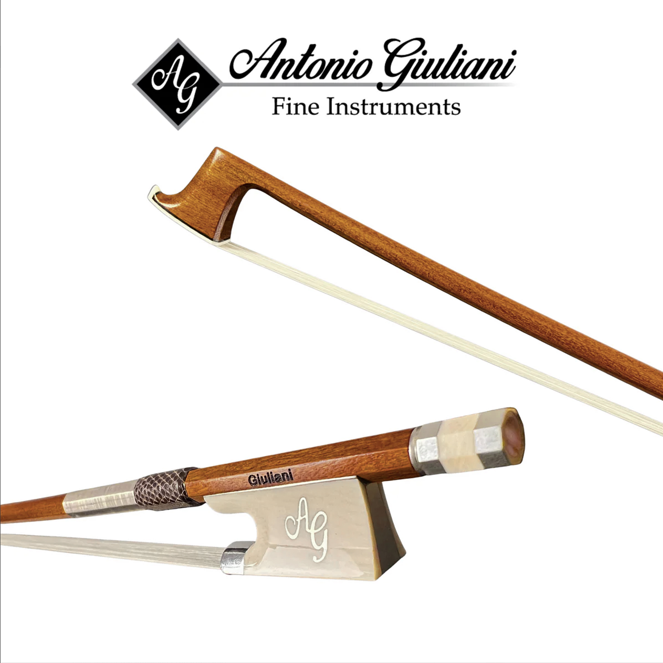 Giuliani Master Series Violin Bow