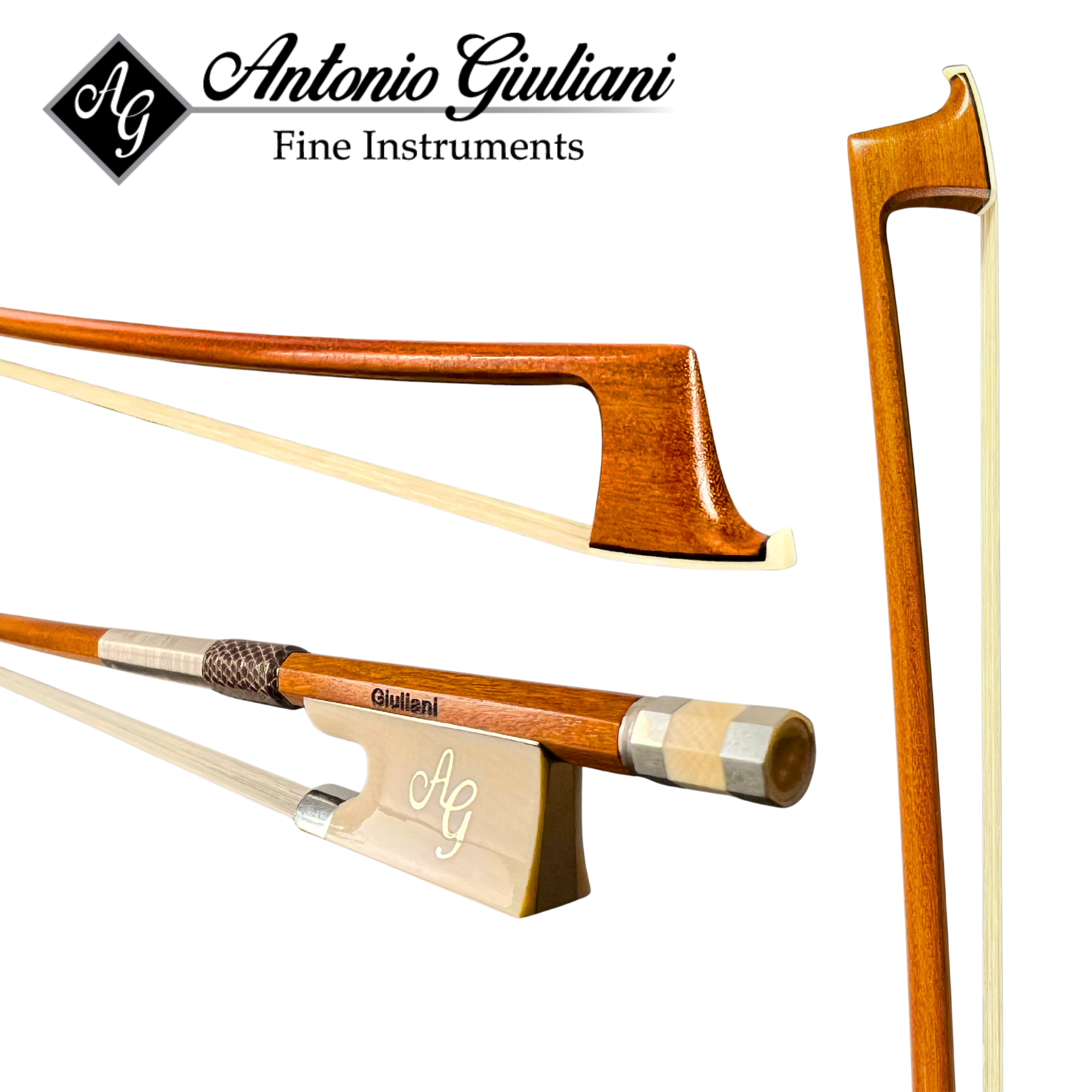 Giuliani Master Violin Bow (Upgrade VLN1)