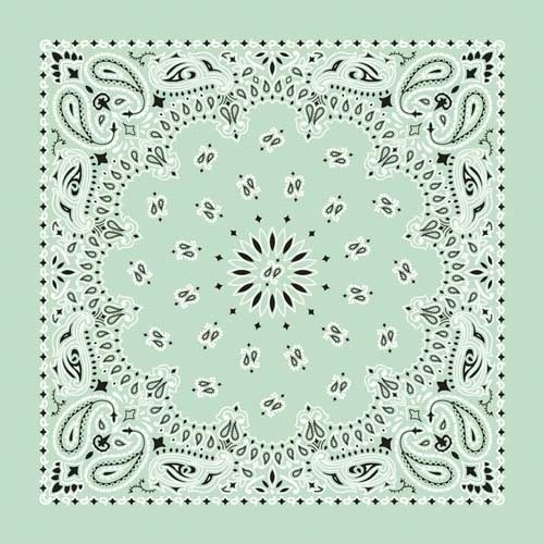 nt4414-bandana-paisley-mint-product-detail-image