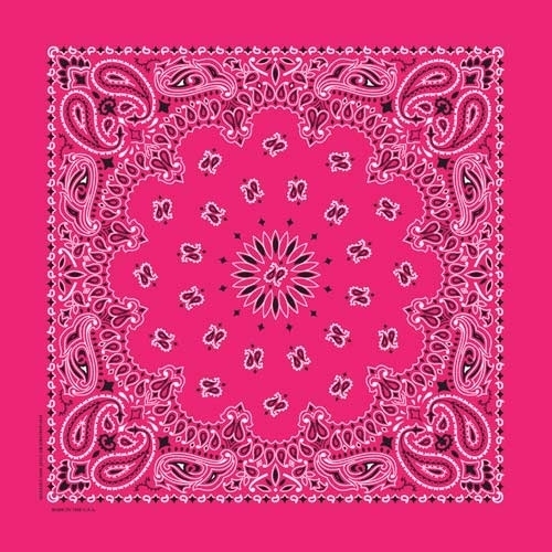 nt4413-bandana-paisley-hot-pink-product-detail-image