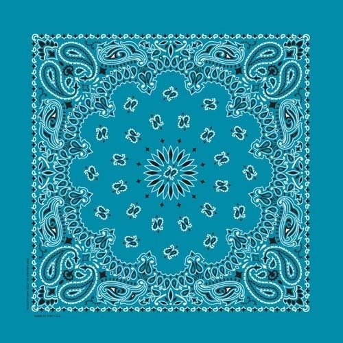 nt4412-bandana-paisley-turquoise-product-detail-image