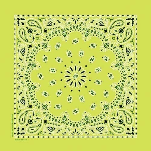 nt4410-bandana-paisley-lime-product-detail-image