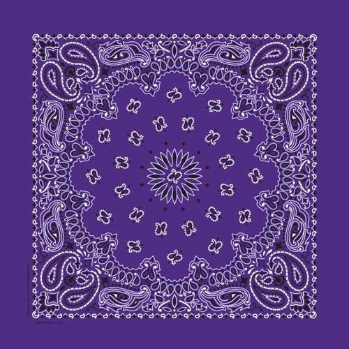 nt4406-bandana-paisley-purple-product-detail-image