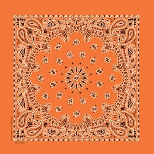 nt4404-bandana-paisley-orange-product-detail-image