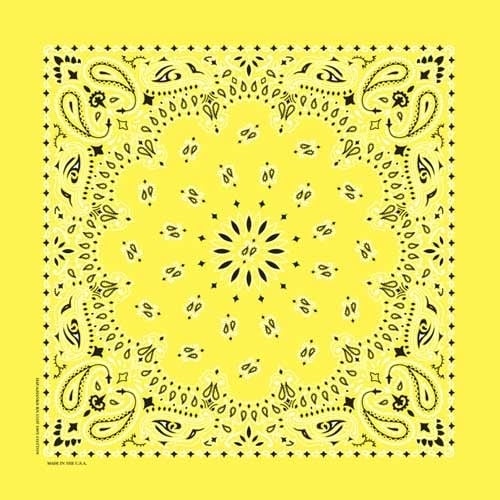 nt4403-bandana-paisley-yellow-product-detail-image