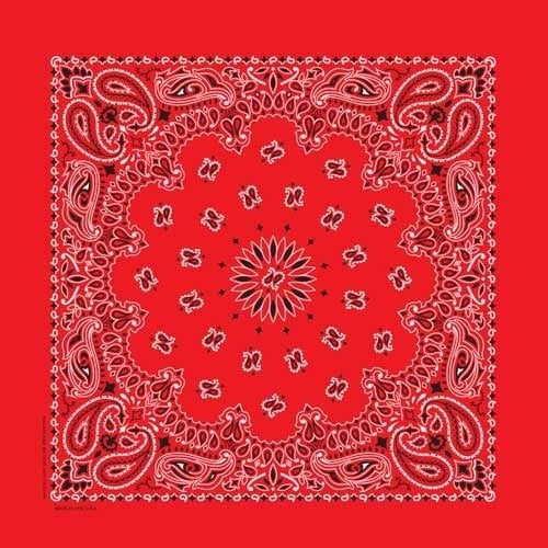 nt4401-bandana-paisley-red-product-detail-image