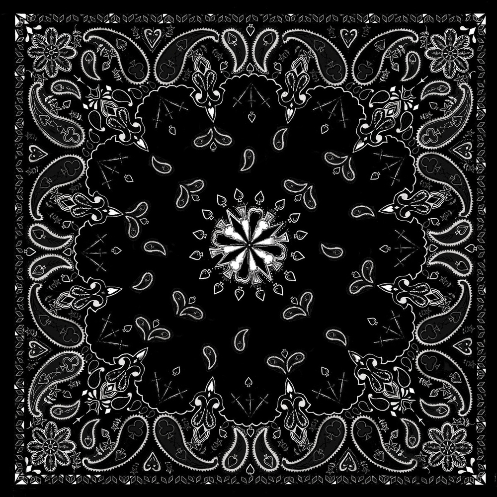 b001-bandanna-black-paisley-product-detail-image