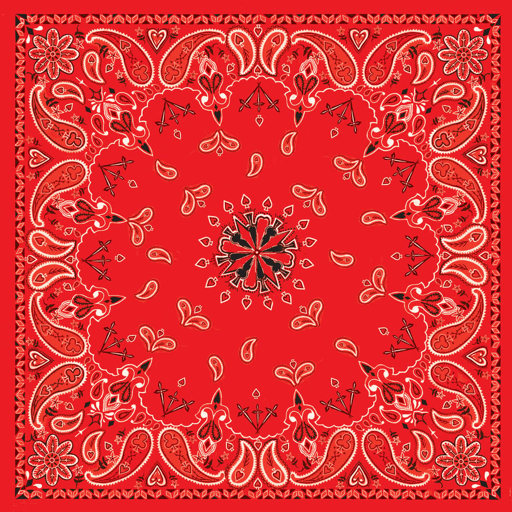 b003-bandanna-red-paisley-product-detail-image