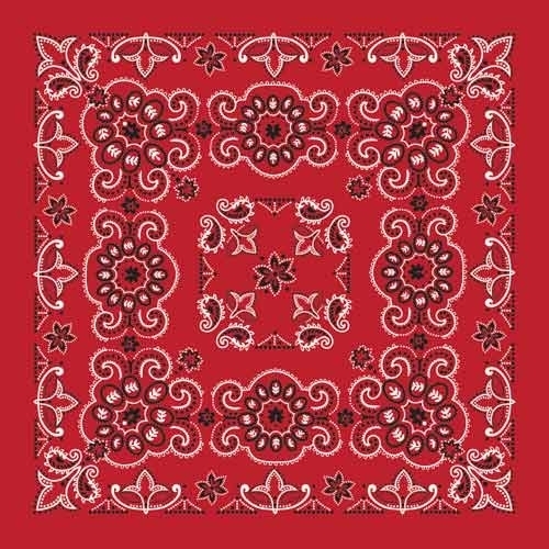 bd2507-bandana-texas-paisley-red-27-x27-product-detail-image