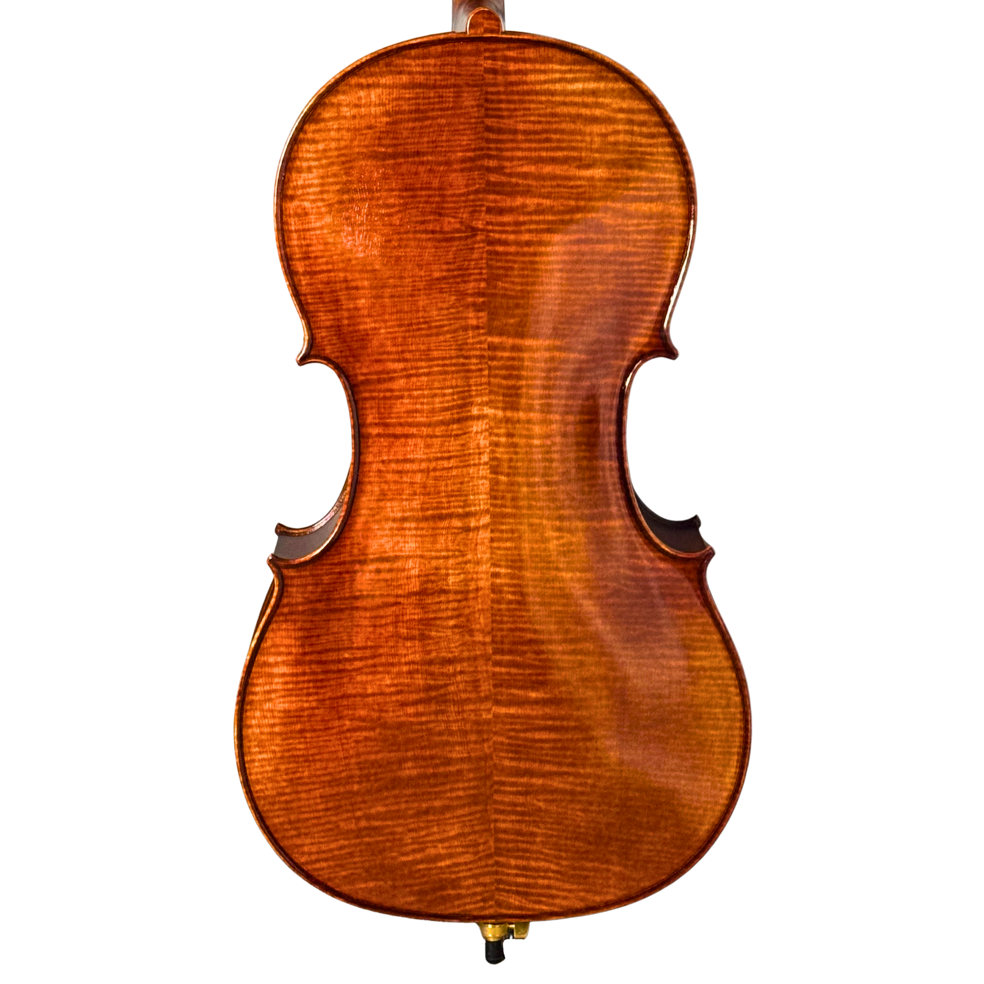 Nikola Zubak Cello Outfit in action
