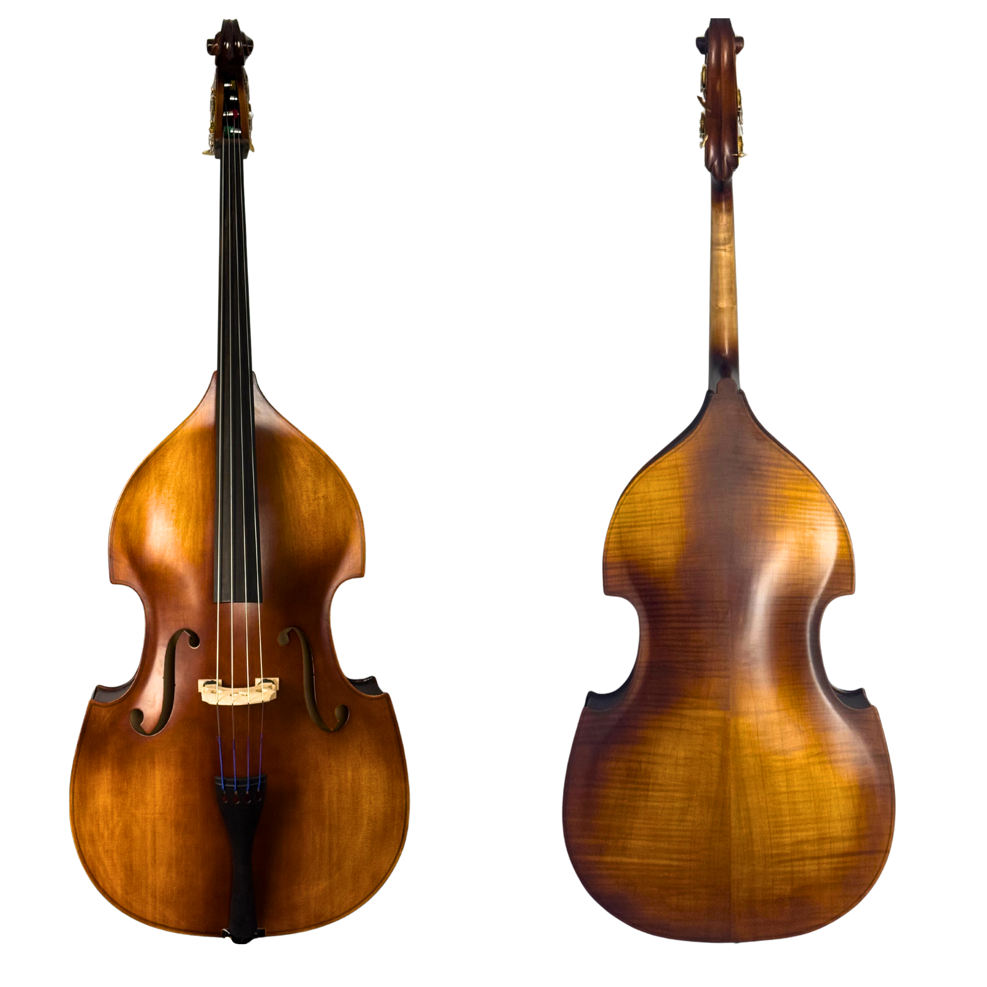 Ricard Bunnel Pupil Bass Outfit in action