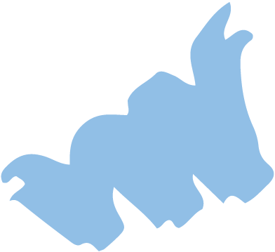 45-Day moneyback guarantee.