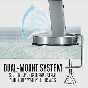 Dual mounting system