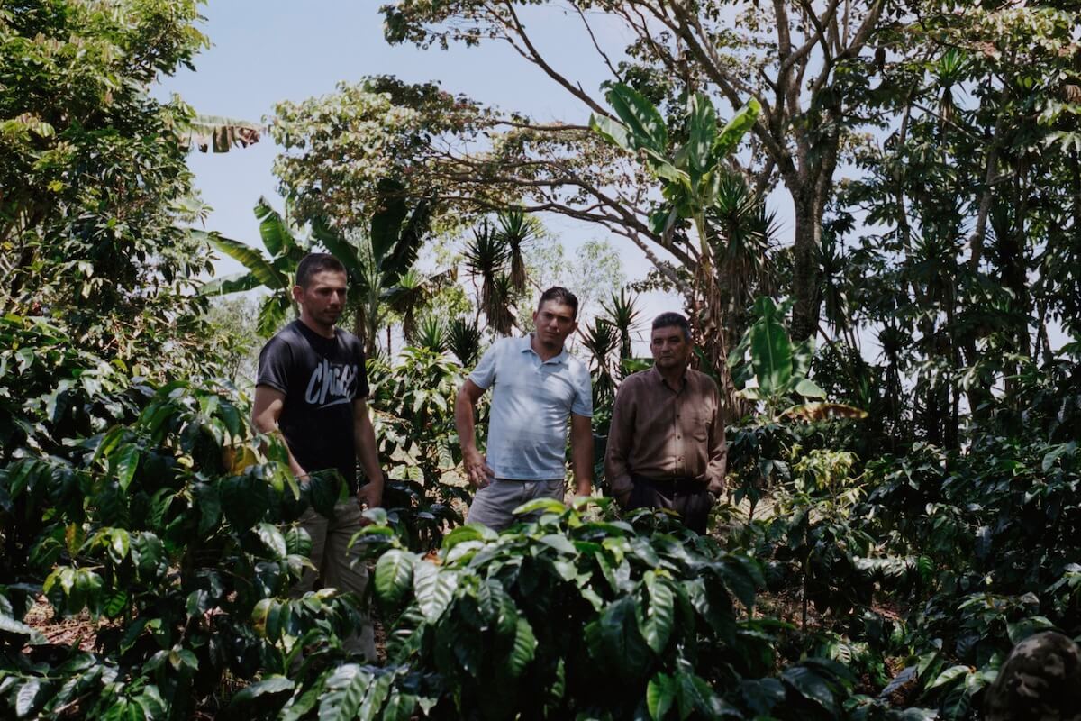 The Sagastume brothers, Honduras