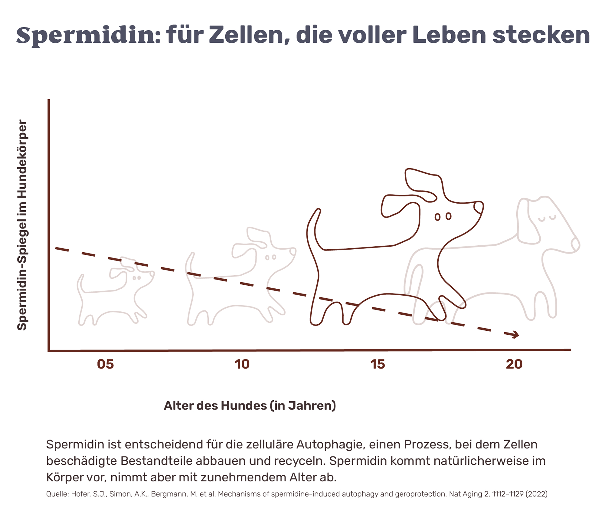 So funktioniert es